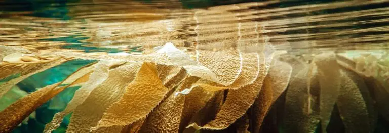 Kein Titel 1170 × 400 px Algfe